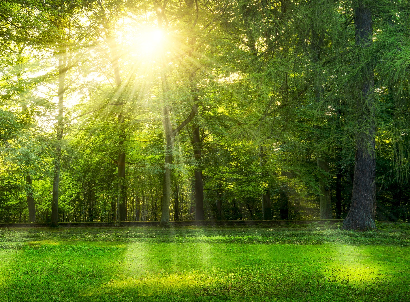 Graphene Flagship research in the energy sector is both sustainable and diverse.