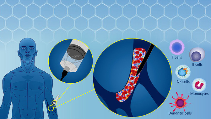 Biomedical tools manufactured with graphene and related materials will have to overcome a huge hurdle – our immune system. Now, G-IMMUNOMICS studied how to ‘disguise’ graphene to avoid rejection.