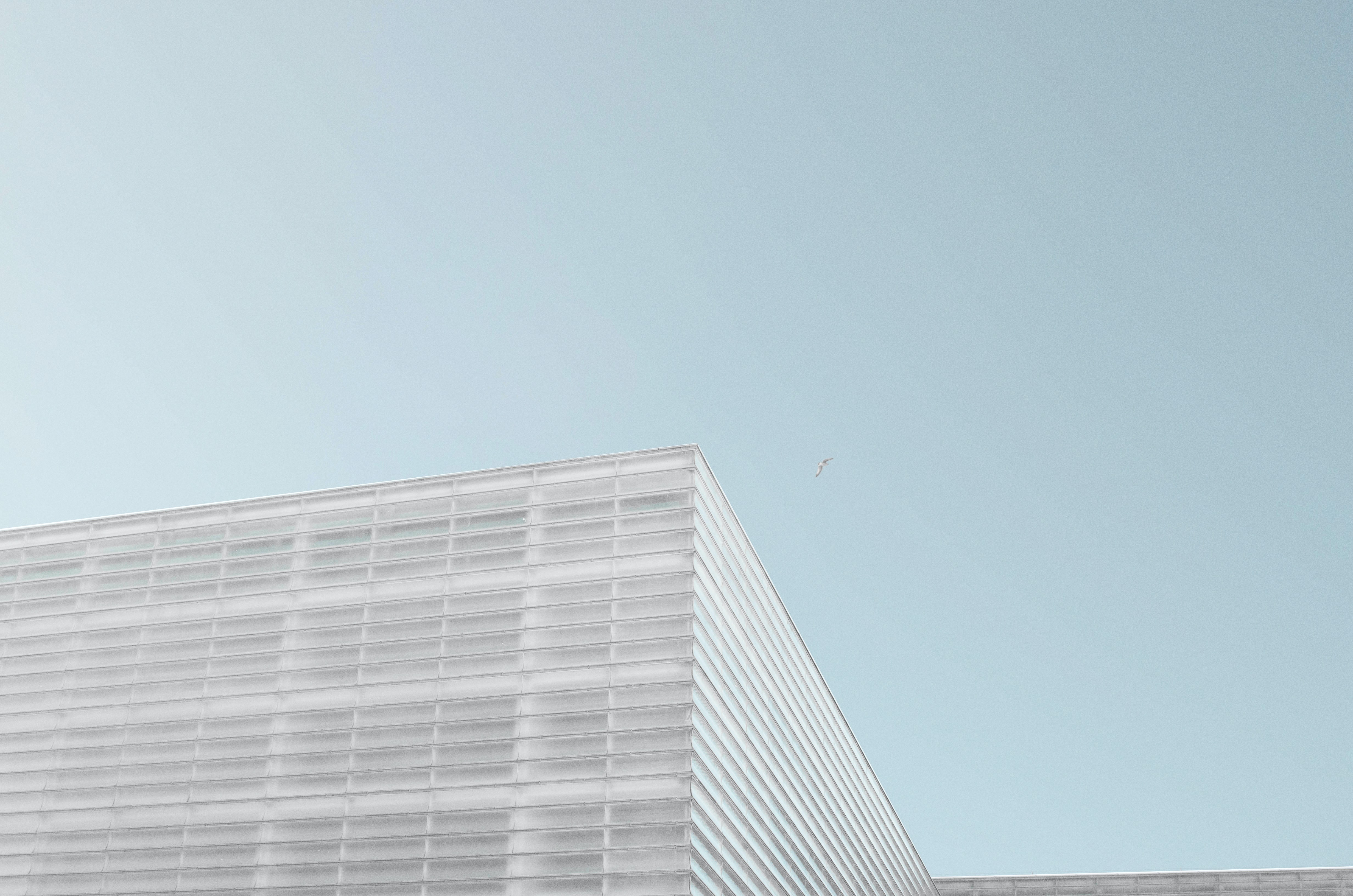 Over 600 graphene stars gather in San Sebastian